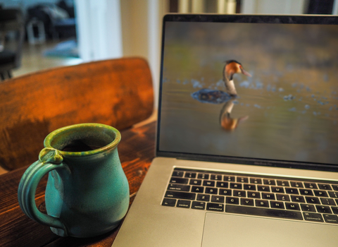 Zoom laptop