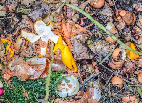Compost