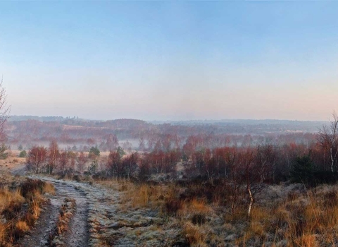 Winter Chobham Common