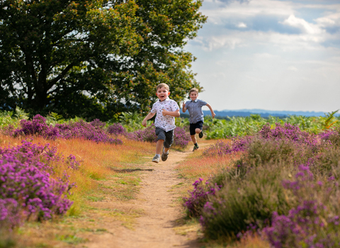 Exploring heathland