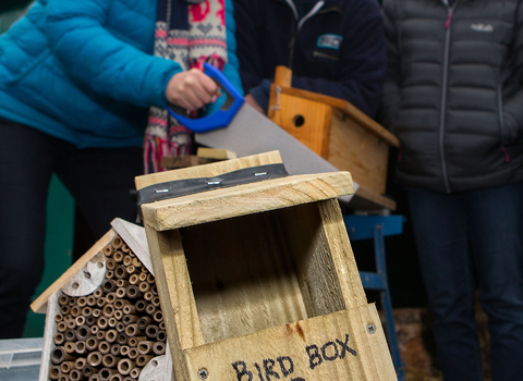 Bird box making course