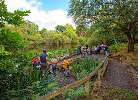 Nower Wood holiday club pond dipping
