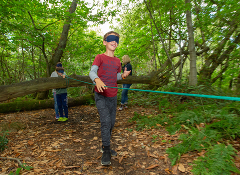 Boy doing the blindfold trail in woods at Nower Wood