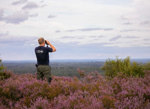 Surveying Ash Ranges