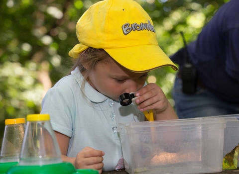 Minibeast hunt at Bay Pond