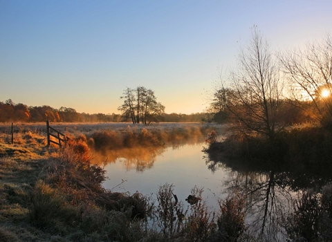 Thundry Meadows