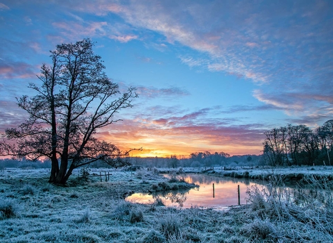 Thundry Meadows