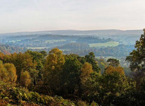 View from St. Martha's Hill