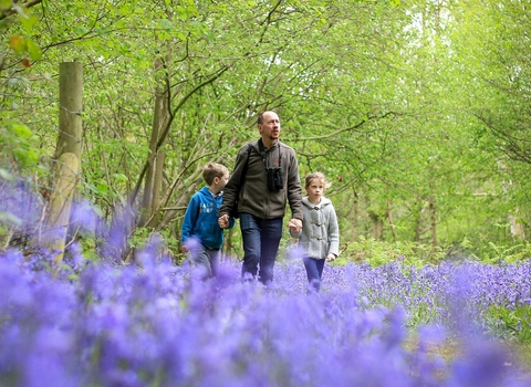Family in the bluebells