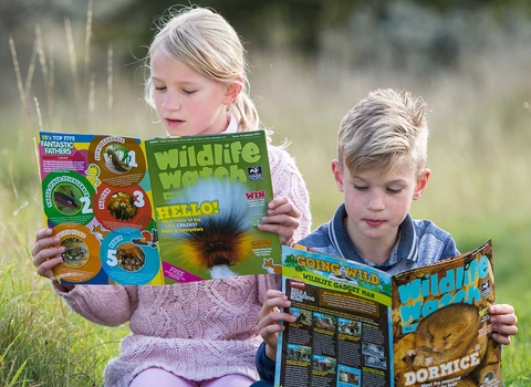 Children reading Wildlife Watch magazine