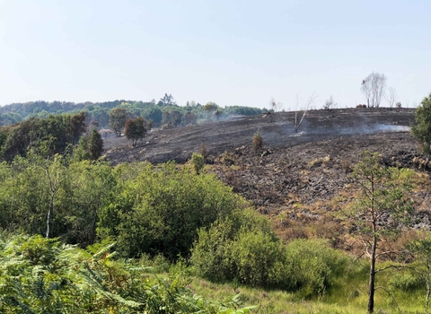 Wildfire damage