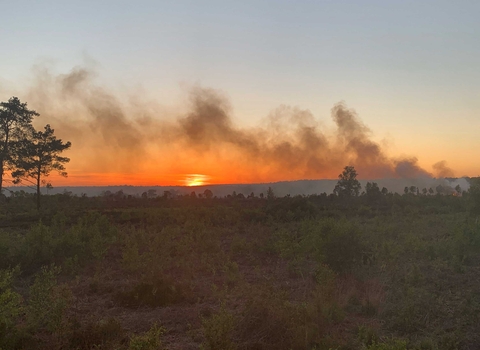 Wildfire Thursley Common