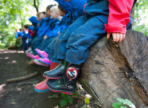 Children at Forest School session in woodland