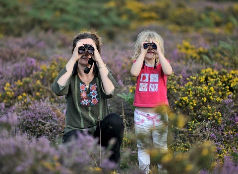 Family birdwatching on heathland