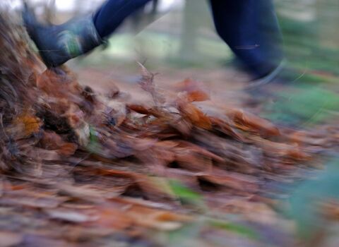 Kicking leaves