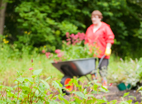 Community garden