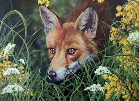 Spring Time Fox by Helen Young