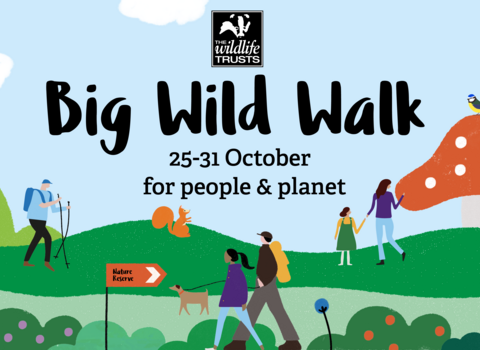 Big Wild Walk 2021 - Web banner
