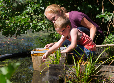 Picture of a young boy pond dipping with his mother at Bay Pond 