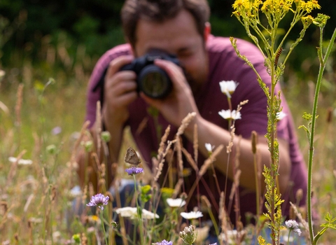 Photographing wildflowers
