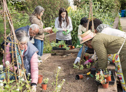 Community tending a garden