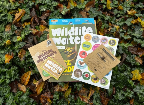 Wildlife Watch membership Pack