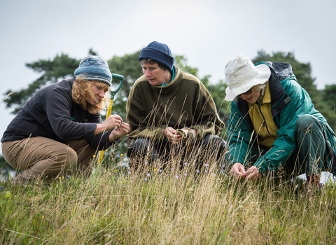 People surveying plants