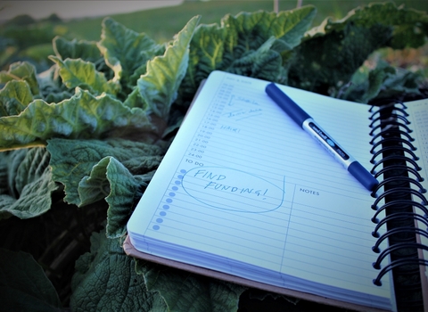 Notebook lying on top of vegetable garden