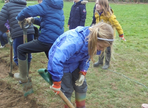 Students digging