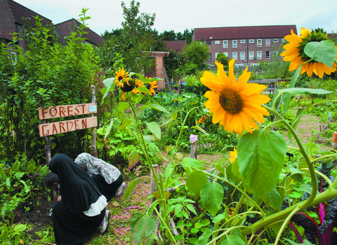 Group of volunteers in a community garden