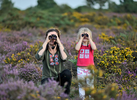 A family birdwatching on heathland in summer