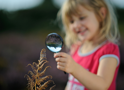 Young girl looking at spider in web on heathland