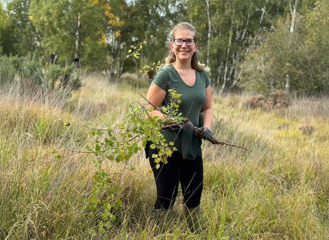 A female volunteer clearing scrub on a heathland site