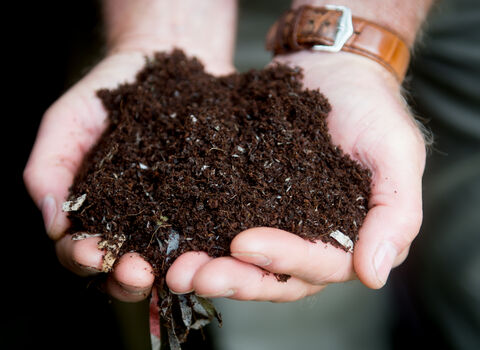 Two hands cupped together holding a pile of peat-free compost