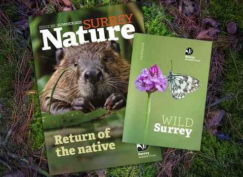 an image of Surrey Nature magazine and our members's handbook