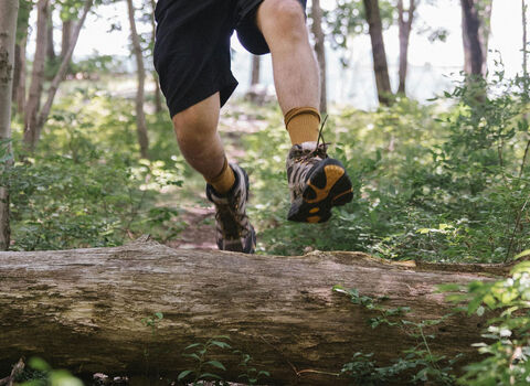 A male runner leaping over a log on a woodland trail
