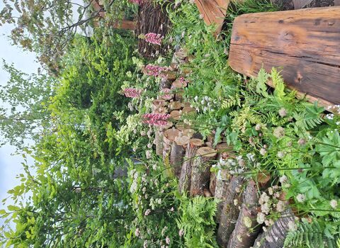 A log pile in a wildlife garden