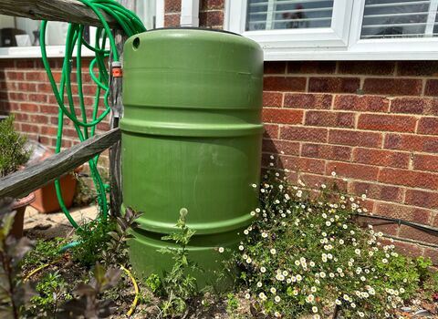 Water Butt in garden 