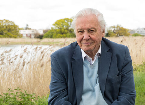 Sir David Attenborough at Woodberry Wetlands in London. Behind him can be seen a large body of water with rushes and grasses around it