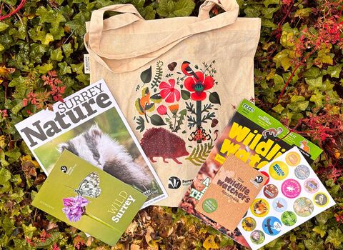 Membership pack with tote bag