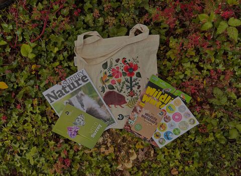 Wildlife tote bag and membership pack spread