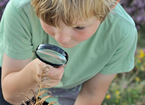 A child using a magnifying glass