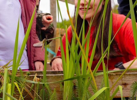 A child pond dipping