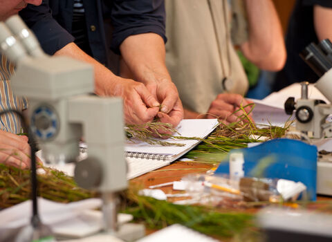 adult learners using microscopes and studying plants