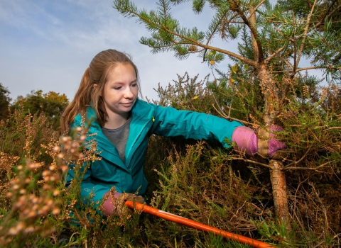 Volunteering in Surrey