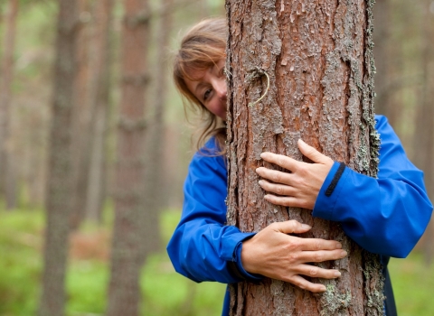 Tree hug