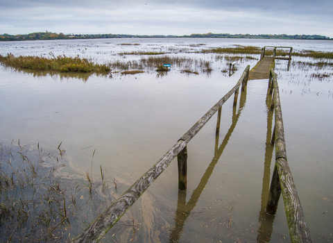 Flooded nature reserve