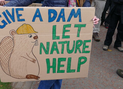 Beaver protest placard reads give a dam - let nature help