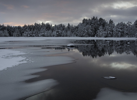 Frozen lake