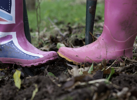 Two pairs of wellington boots